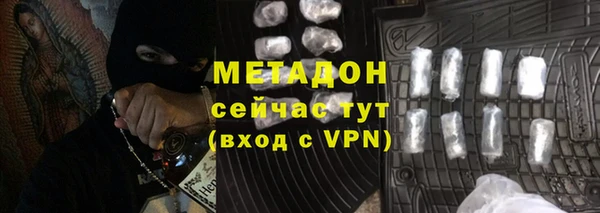 прущие грибы Абинск