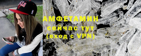 прущие грибы Абинск