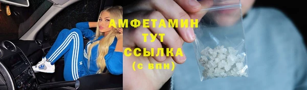 прущие грибы Абинск