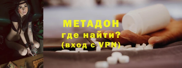 прущие грибы Абинск